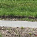 Gatvę sutvarkė, pakelei laiko neranda