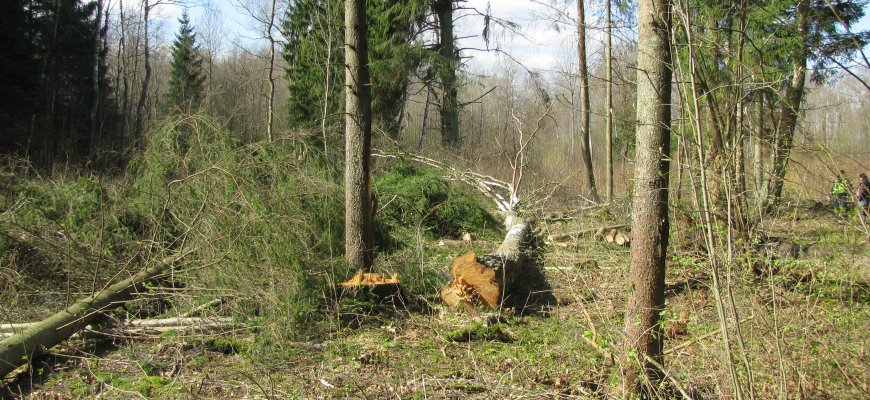Nelaimė darbo vietoje: žuvo Rokiškio rajono gyventojas (ATNAUJINTAS)
