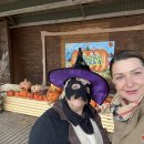 Beveik du dešimtmečiai, atiduoti bendruomenei – V. Cicika svajoja dabar rasti laiko paprastam pasivaikščiojimui