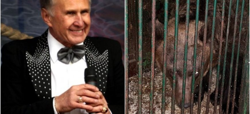 Inicijuojamas tarnybinis tyrimas dėl dingusios meškos Rokiškio rajone
