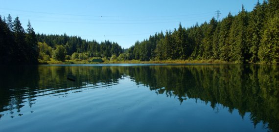 Našio ežere paskendo žmogus