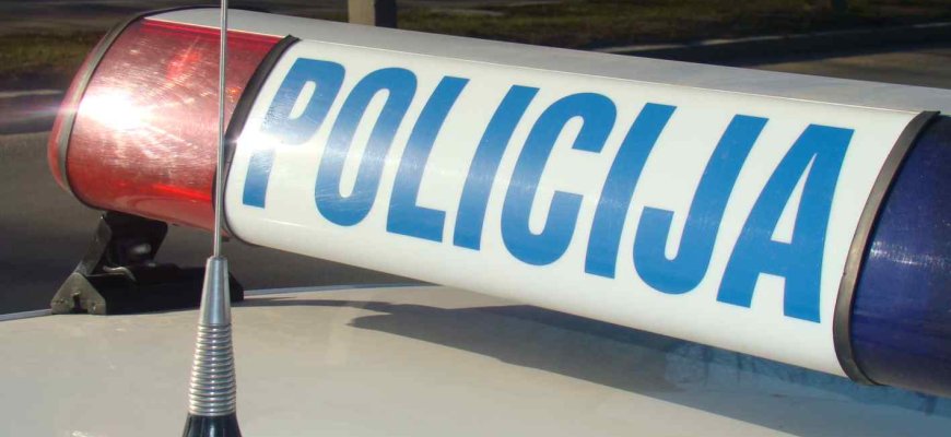 Dingo 1999m. gimęs jaunas rokiškėnas