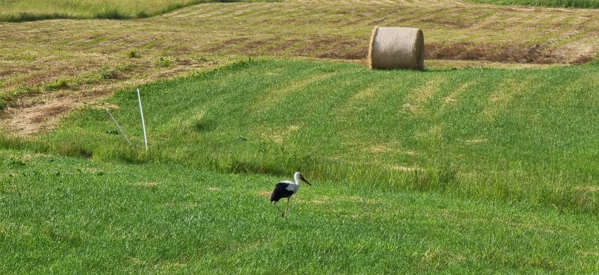 Žemdirbiai nuo kovo gali pradėti pasirengimą šių metų pasėlių deklaravimui