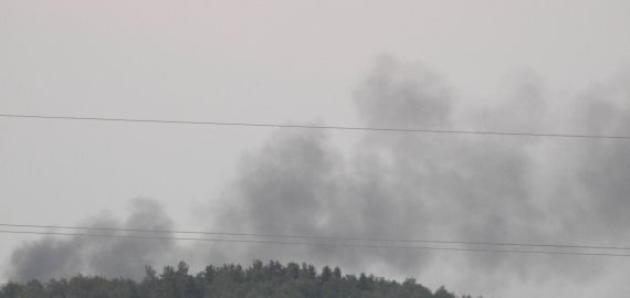 Pandėlio seniūnijoje smilko krūmai