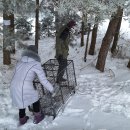 125 serijos šuns Sniegiaus istorijos 