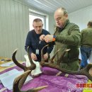 Medžioklės trofėjai jau suskaičiuoti: Rokiškis spindi atsakingo požiūrio į veiklą aukštumose