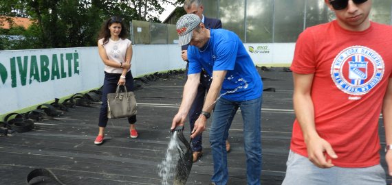 Šaldymo kilimėlių bandymai: baseinėlis ir fontanai (foto)