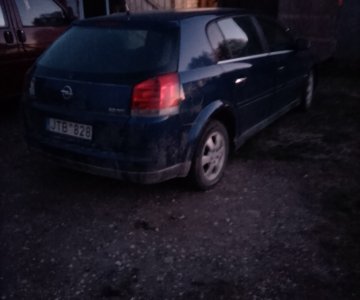 „Opel Signum” 