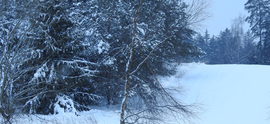 Žemės ūkio ministras Kęstutis Navickas patvirtinto 2022 m. paramos paraiškų priėmimo grafiką