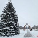 Eglė baigė tarnybą – apšvietimas išjungtas, papuošimai bus nuimti orams atšilus