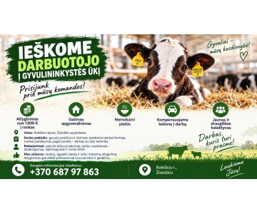 Darbas gyvulininkystės ūkyje