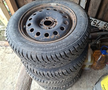 Ratai R15