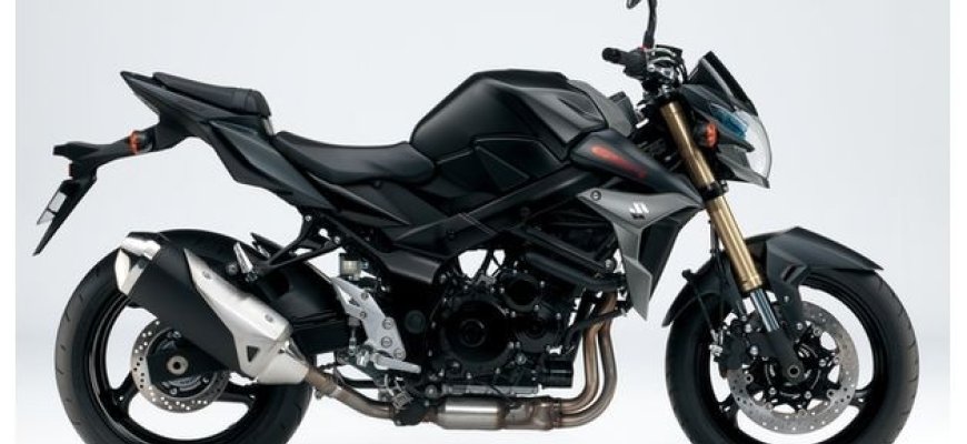 Sulaikytas jaunas dviračių ir motociklo SUZUKI vagis