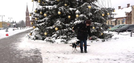 Šunų dresūra. Komanda APEIK MANE (video)