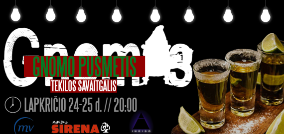 Pub'ui „Gnomas“ pusė metukų !