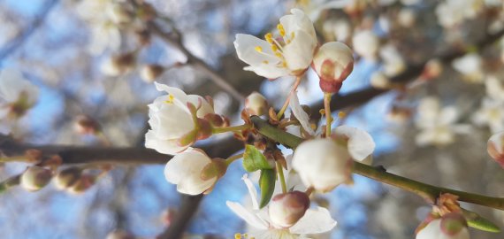 Orai: sušils iki 18 laipsnių