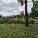Rokiškį nusiaubė audra (video+foto)