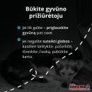 Mirus šeimininkui gyvūnai lieka vieni: kaip to išvengti