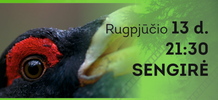 Ketvirtadienį „Eglių slėnyje“ - dokumentinė poema „Sengirė“