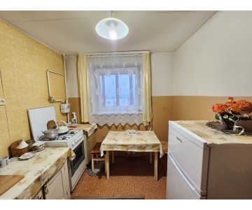 Erdvus 1 kambario butas