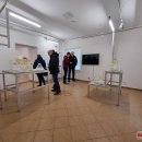 Teminėje „Pieno“ parodoje: dviračiai, karvės, sraigės ir sūrio bakterijos (foto)