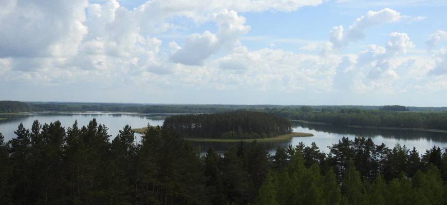 Kviečia į miško glėbį – šeštadienį Šimonių girininkijoje vyks miško terapijos užsiėmimai