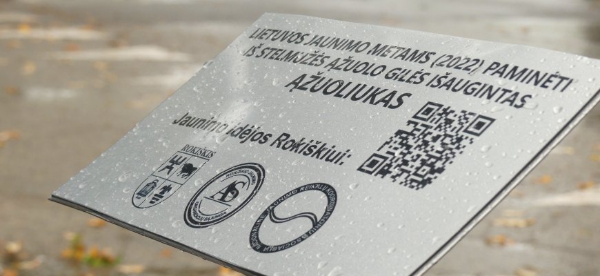 Ąžuolų gatvėje pasodintas naujas ąžuoliukas (foto+video)